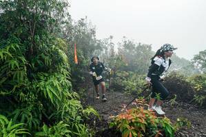 BIB: 
                            <button type="button" onclick="openModal(26272016)" class="btn btn-primary btn-sm float-right btn-popup" data-toggle="modal" data-target=".modal-high-quality">
                        <i class="fas fa-shopping-cart"></i> Add to Cart
                    </button>
                                            <button type="button" onclick="isThisMe(26272016, true)" class="btn btn-success btn-sm float-right btn-popup btn-isme hidden" data-toggle="tooltip" data-placement="bottom" title="นี่คือรูปของคุณใช่ไหม คลิกที่นี่เพื่อเอาเข้าอัลบั้ม">
                        <i class="fas fa-plus"></i> Add to album
                    </button>
                    <button type="button" onclick="isThisMe(26272016, false)" class="btn btn-warning btn-sm float-right btn-popup btn-isnotme hidden">
                        <i class="fas fa-ban"></i> Remove from album
                    </button>